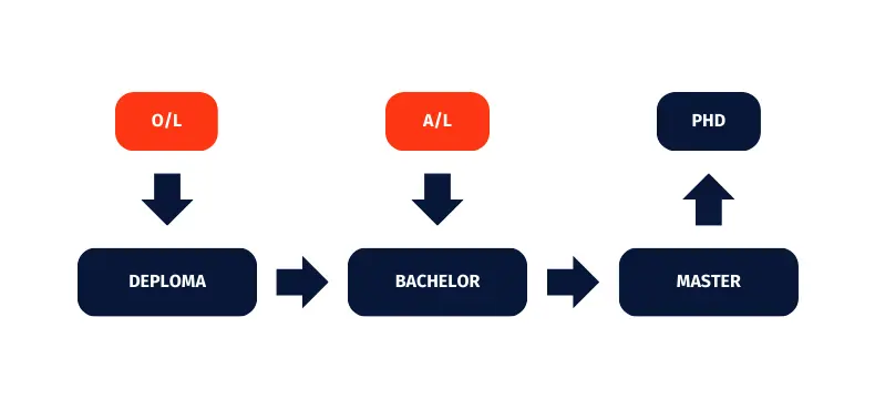 China Degree Path way Diagram