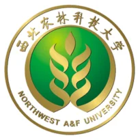 Universities in China