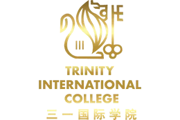 Trinity International Collage Logo